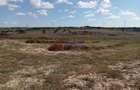 Teren intravilan 4.000 mp - Gradina, jud. Constanta