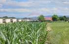 Casă / Vilă, teren 1700mp,  în Lisaura-Ipotești, Suceava - 32