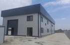 Vanzare depozit/hala/spatiu industrial Domnesti - Centura, Ilfov