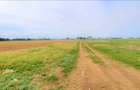 OCAZIE ! EFORIE NORD, ULTIMELE 3 LOTURI, 517 MP. 19.500 EURO IDEAL INVESTITIE ! - 6