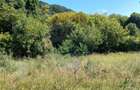 Teren 3,871mp Varmaga / None - 11