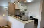 Apartament 2 camere în zona PLATINIA - 3