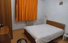 Apartament Luminos, 2 camere, Parcul Tineretului. Parcare. - 14