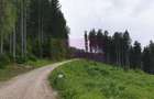 Teren de vanzare in Predeal - 3