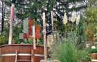 2  A-Frame | Bran Sohodol| 2 cabane | Teren 3.812 mp | Operațional | - 12
