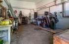 Proprietate speciala, spatiu comercial de 460mp / Pastravarie - 10