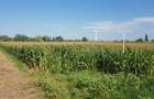 TEREN INDUSTRIAL CU PUZ | 5,2 HA | BORS - ORADEA - 7
