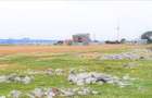 OCAZIE ! EFORIE NORD, ULTIMELE 3 LOTURI, 517 MP. 19.500 EURO IDEAL INVESTITIE ! - 5