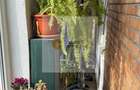 3 camere - 70MP | Decomandat | 2 Balcoane | Crangasi - 10