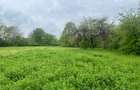 Teren de vânzare – Comuna Brebu, zonă centrală – 2700 mp - 5