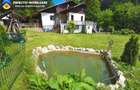 CASĂ CU TEREN 644 MP | TELEC – BICAZU ARDELEAN | GARAJ • FOIȘOR • GRĂTAR - 1