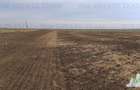 Oferim spre vanzare 6 loturi de teren extravilan (agricol) in Petrachioaia ILFOV - 10