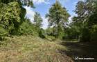 Casa demolabila in sat Gheorghieni (com Feleacu) teren 1547mp intravilan