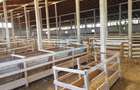 Ferma langa Oravita 5600 mp construiti si teren 24281 intravilan - 7