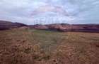 Teren generos 3400 mp în Pâclișa – Criseni zona linistita - 5