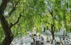 Afacere la Cheie: Complex Turistic în Murighiol, Delta Dunării - 45