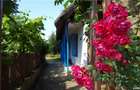 Pensiune agro-turistica in paradisul Deltei Dunarii - 7