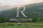 Teren 10.900mp | Panoramă în Apuseni | Remeți -Ideal pentru Investitii - 8