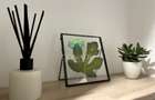 Garsoniera renovata modern str Nada Florilor - Teiul Domnei - 105