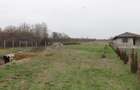 Teren 5000 mp,  Lelești - 4