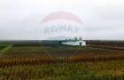 Ferma agro-industrială – 43 ha Adunații Copaceni - 13