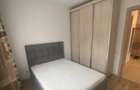 Închiriere Apartament 2 camere în Salajan Centrala Proprie - 3