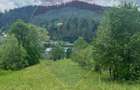 Teren 6,865mp Voroneț / Gura Humorului / Bucovina - 22