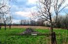 Casă din cărămidă cu teren generos de 2460 mp și anexe, în Borlești - 22