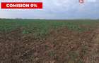 COMISION 0% Teren extravilan agricol 10.000 mp la sosea in Sag - 4
