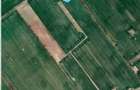 Vanzare 1000, 2000 sau 3000 mp teren intravilan in Buftea langa padure - 4