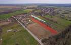NUCI - BALTA NEAGRA, LOT 3080 MP, LA PADURE! - 3