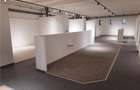 Spatii Comerciale - 500 mp - Showroom - Comert - 18