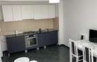 Apartament 2 camere mobilat- Visoianu - 2