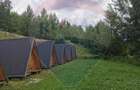 6,2 ha + business turistic activ | Munții Apuseni - 8