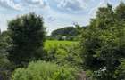 Teren intravilan 498,02 mp langa pădure , strada privata Corbeanca - 6