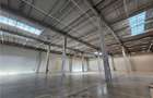 Spatiu Industrial - 5300 mp - Logistica - Productie - Depozitare - Distributie - 18