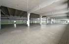 Hala/ spatiu comercial Pascani, 1500mp - 15