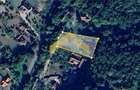 Teren intravilan 2.635 mp Savarsin ideal casa sau investitie - 1