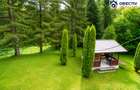 Cabană de Vânzare în Tarcău – Natură, Relaxare și Pescuit la Poartă! - 10