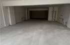 Spatii Comerciale l 53-120 MP l Marasti - 6