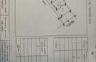 Teren intravilan in Crevedia, 3 loturi 650mp, 30000euro/lot, deschidere 20m - 7