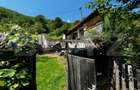 Casă la munte cu teren generos de 9340mp în zona Căpâlna - Valea Sebeșului - 8