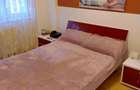 Apartament 2 camere confort 1 zona Siretului - 3