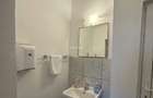 Spatiu Comercial |  Salajan |  Curent Trifazic | Centrala |120 MP | - 7