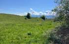 Vand teren intravilan - 3