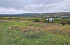 0 % comision, 5 parcele de teren, str Ionel Perlea-Borhanci - 1
