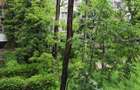 57000euro!!!Apartament 2 camere Tatarasi, etaj 2/4!!! - 3
