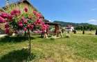 Refugiu pretios:jacuzzi, lemn masiv,2.000 mp teren,4 dormitoare, cuptor, investi - 13