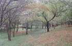 Casă vacanta 2007 Izvoarele Valenii de Munte teren 3000 mp - 13