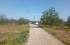 Teren 100Omp, Clinceni, Str Rozelor - 9